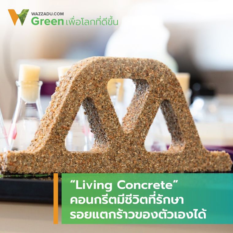 “Living Concrete” คอนกรีตมีชีวิตที่รักษารอยแตกร้าวของตัวเองได้ ภาพประกอบ