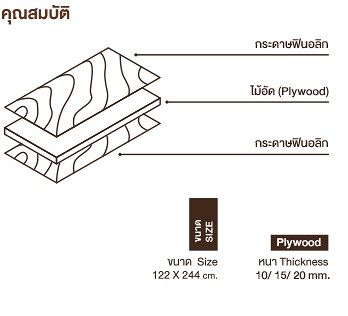 ภาพแสดงโครงสร้างไม้อัดฟิโนลิค
