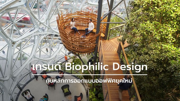 ขอบคุณภาพประกอบจาก&nbsp; Archdaily.com
