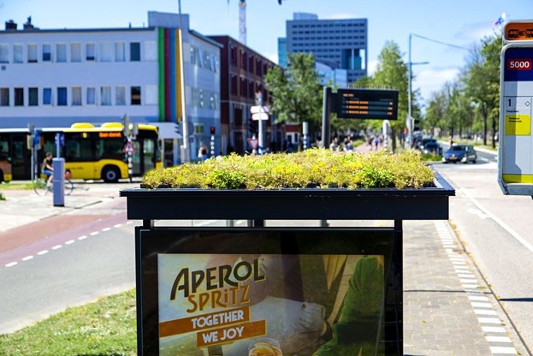 ภาพจาก

https-//www.lonelyplanet.com/articles/utrecht-bee-stops
