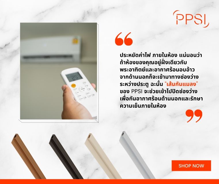 3 เหตุผลหลักที่ควรใช้ “เส้นกันแมลง” ของ PPSI  ในคอนโด ภาพประกอบ