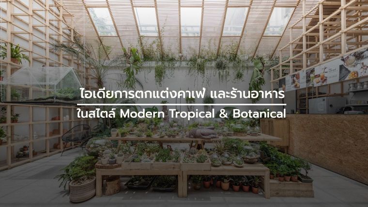 ไอเดียการตกแต่งคาเฟ่ และร้านอาหาร ในสไตล์ Modern Tropical & Botanical เทรนด์การตกแต่งแนวธรรมชาติที่ได้รับความนิยมในปัจจุบัน ภาพประกอบ