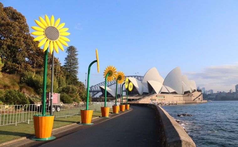 Project : The Sunflowersสีสันของดอกทานตะวันช่วยให้ทัศนียภาพรอบข้างดูสดใส มีชีวิตชีวา&nbsp;