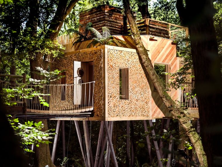   Woodsman Treehouse บ้านเล็กในป่าใหญ่ กับบรรยากาศธรรมชาติผสมผสานความหรูหราสไตล์ Tropical & Luxury ! ภาพประกอบ