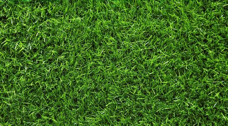 หญ้าเทียม (Artificial Turf Grass ) กับคุณสมบัติที่น่ารู้ก่อนจะนำเอาไปใช้งาน ภาพประกอบ