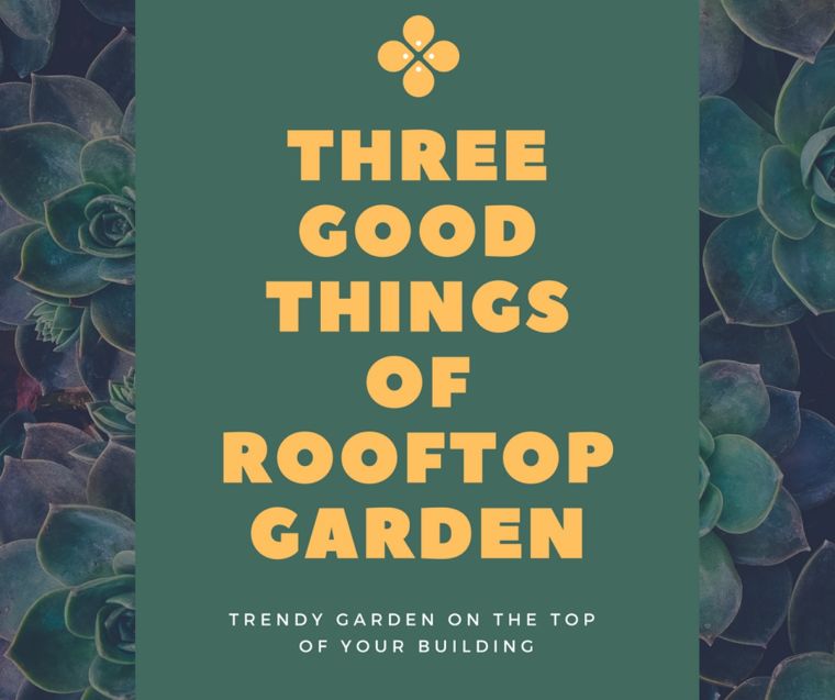 "Three Good Things กับสิ่งที่เรียกว่า Rooftop Garden" ภาพประกอบ