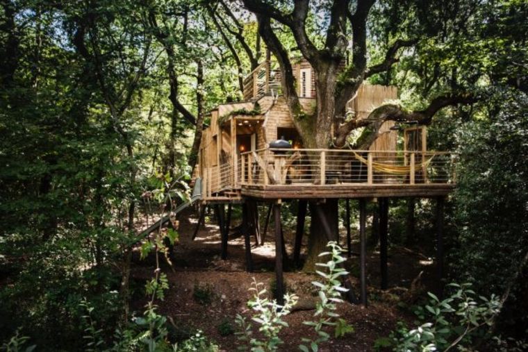   Woodsman Treehouse บ้านเล็กในป่าใหญ่ กับบรรยากาศธรรมชาติผสมผสานความหรูหราสไตล์ Tropical & Luxury ! ภาพประกอบ